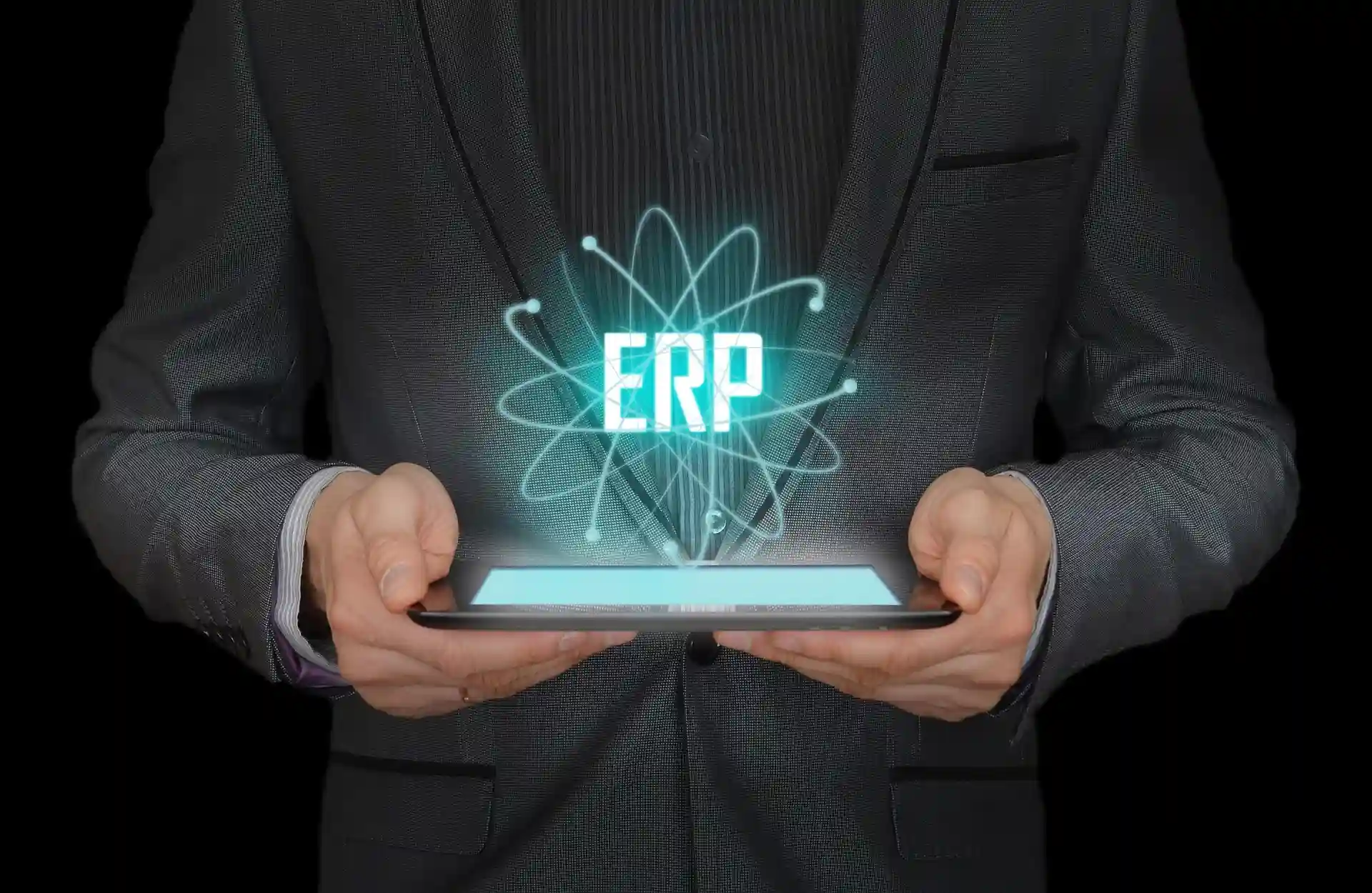 Enterprise software development
